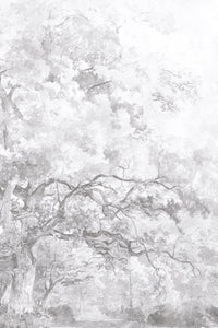 Paradise Wallpaper - Cloud - Sample