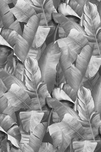 Botany 2 Wallpaper - Grey - Sample