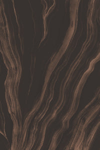 Unearth Wallpaper - Brown - Sample