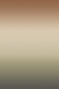 Miami Wallpaper - Safari - Sample