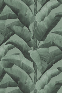 Botanica Wallpaper - Dark Green - Sample