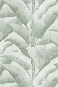 Botanica Wallpaper - Light Green - Sample