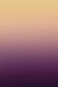Miami Wallpaper - Mulberry Sunrise - Sample